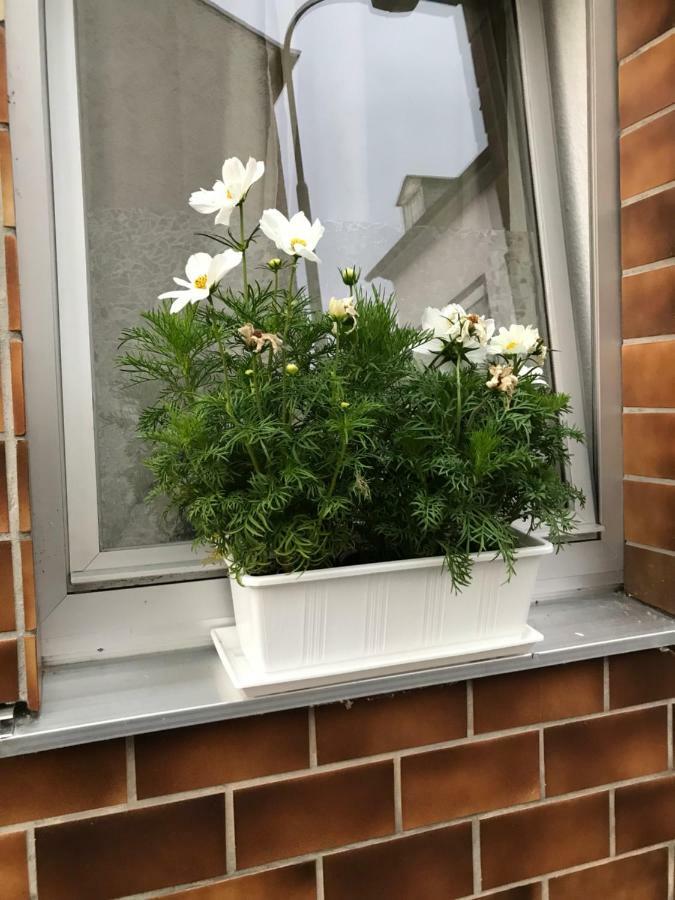 Ferienhaus Loehr Mit Treppenlift Villa Coblenza Esterno foto